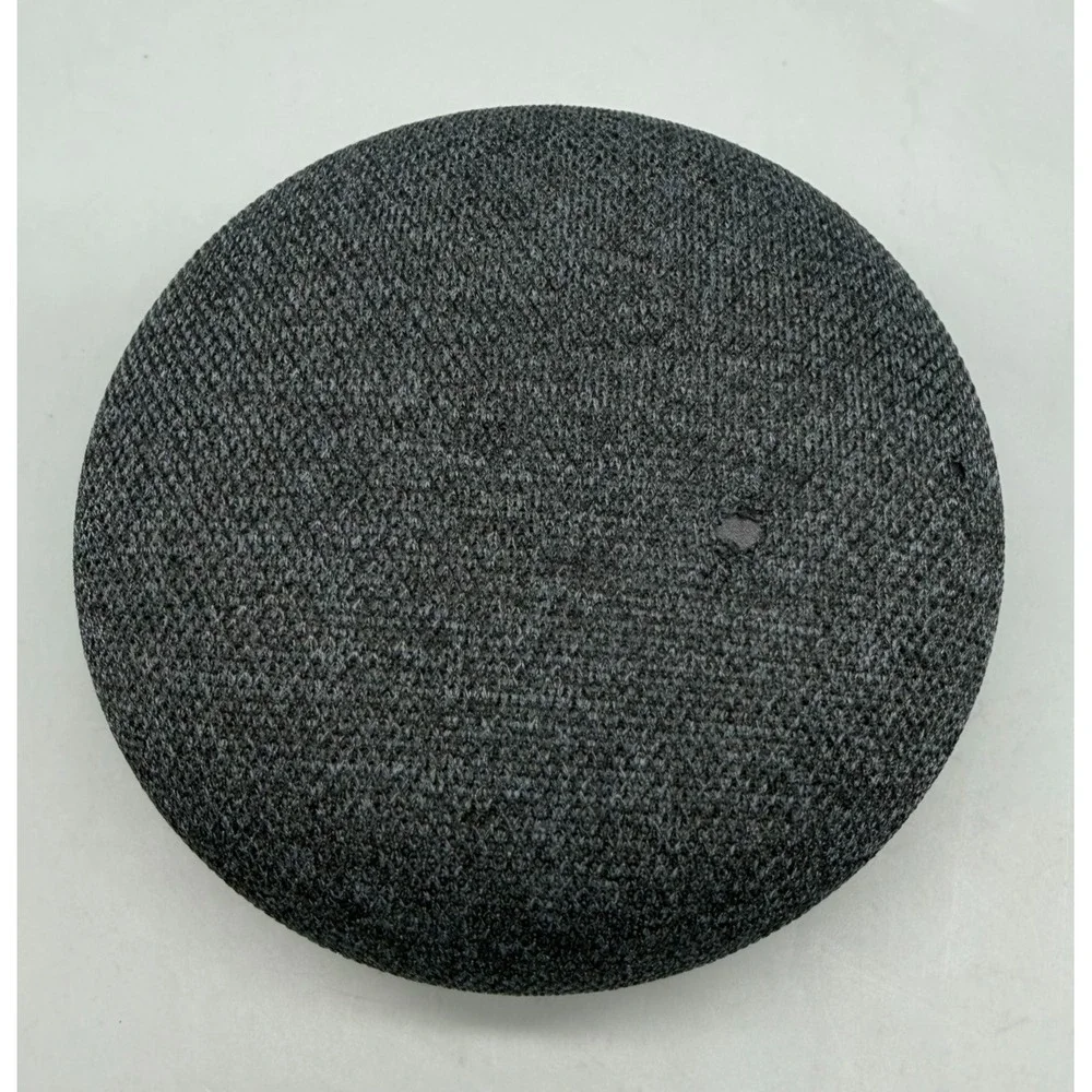 google includes speaker